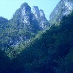 �ֳ�����