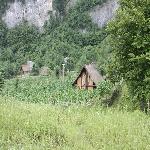 �ֳ�����